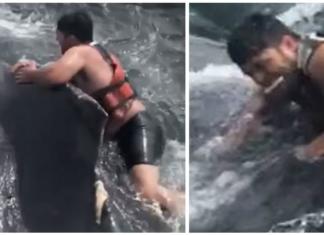Un pescador se juega la vida saltando sobre una ballena enredada para liberarla