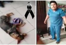 Un veterinario deja morir a un perro herido tras no atenderlo porque nadie le iba a pagar