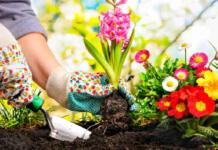 Expertos aseguran que cuidar un jardín puede ser tan beneficioso como 150 horas de gimnasio