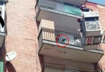 Pierde la vida un perro que estuvo atado en un balcón bajo el sol en plena ola de calor