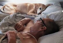 Veterano con cáncer y su perro que siempre durmió a su lado mueren con una hora de diferencia