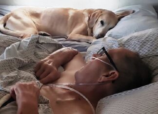 Veterano con cáncer y su perro que siempre durmió a su lado mueren con una hora de diferencia