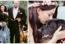 El perrito moribundo de la novia es cargado en brazos por el pasillo y todos rompen a llorar