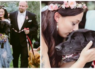 El perrito moribundo de la novia es cargado en brazos por el pasillo y todos rompen a llorar