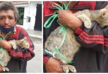 Desconsolado indigente pide ayuda después de ser obligado a acabar con la vida de un gato