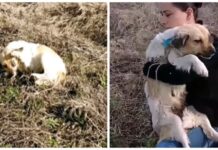 Después de que la dejaran ciega ella siente a una mujer cerca, y le pide que calme su dolor