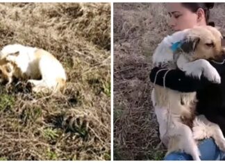 Después de que la dejaran ciega ella siente a una mujer cerca, y le pide que calme su dolor
