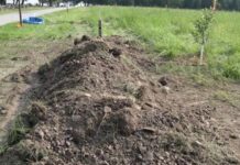 Policías llegan para salvar a Tucker tras ser sepultado bajo tierra-«Aún no abría los ojos»