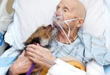 Veterano moribundo suplica ver a su perrito para darle su último beso antes de partir