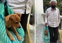 Captan a un abuelito que lleva a su perrito a vender escobas con él para no dejarlo solito