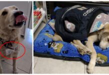 Después de vagar por 10 años en las calles, Matute consigue el mejor trabajo en una farmacia