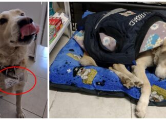 Después de vagar por 10 años en las calles, Matute consigue el mejor trabajo en una farmacia