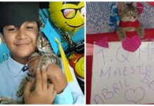 Niño incluye a su gatita en sus fotos de graduación, ella nunca faltó ni a una clase