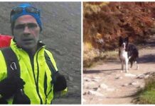 Hombre tiene que elegir entre vivir o morir con su perro y decide dejarlo en la fría montaña
