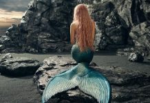 Shakira explica el significado del vídeo de «Copa Vacía»–»Cualquier parecido con la realidad…»